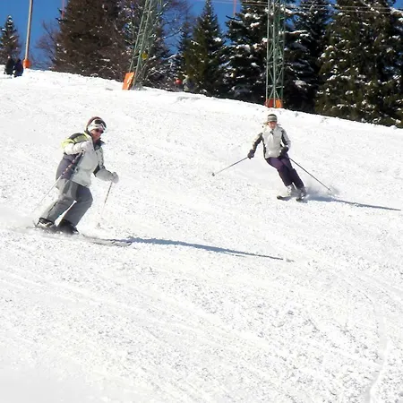Frenner Apartament Sankt Martin bei Lofer